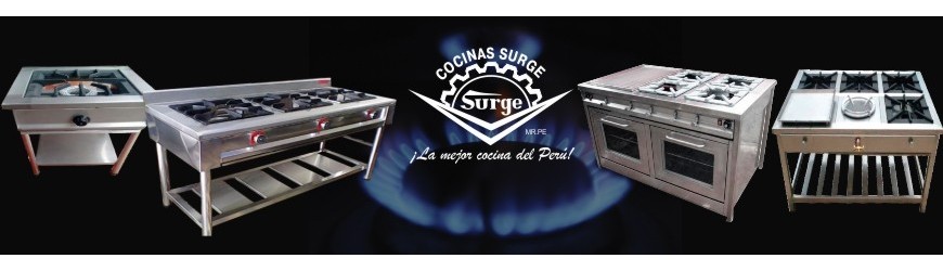 Cocina industrial mural con horno en acero inoxidable – Equipamiento  Gastronómico Acerosur